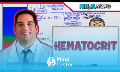 White Blood Cell Formation Fundamentals