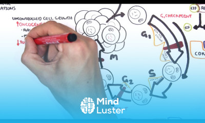 Tumour Lysis Syndrome diagnosis and treatment