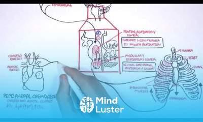 Idiopathic Pulmonary Fibrosis symptoms