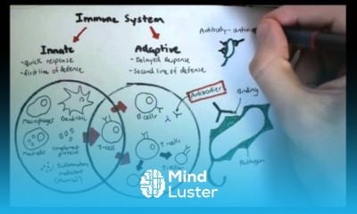 Immune complex hypersensitivity causes