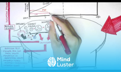 Menstrual Cycle Disorders and Hormones