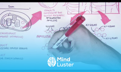 Colon Carcinogenesis symptoms