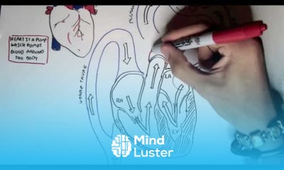 Aortic Stenosis symptoms and treatment