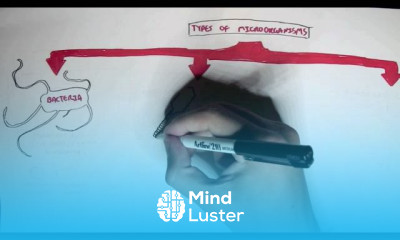 Microbiology Viruses Types and Bacteriophage