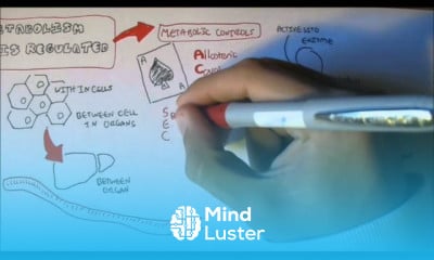 Lipid Membranes types