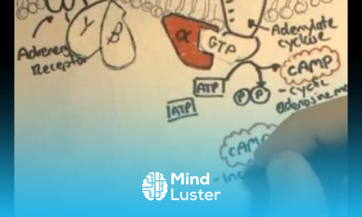 Dress Syndrome causes and treatment