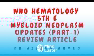 Renal Cell Carcinoma Systemic Therapy