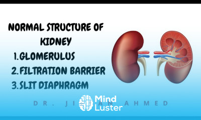Nephritic Syndrome Pathophysiology