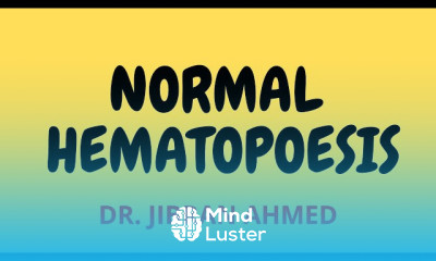 Hemolytic anemia symptoms