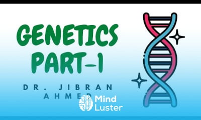 Genetic diseases basis