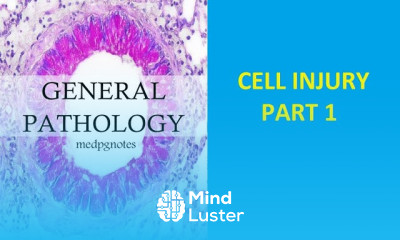 Cellular Aging Molecular Mechanisms