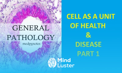 Cellular Health basics