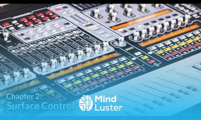 Avid SC48 surface control techniques