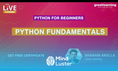 Python Seaborn basics For Beginners