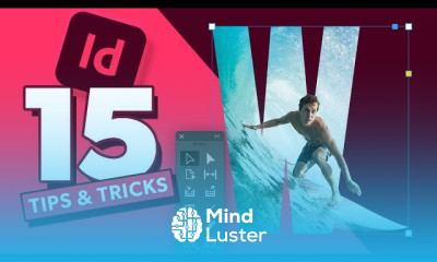 Best adobe tools for Beginners