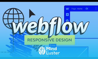 Webflow Design Essentials for Beginners