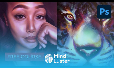 Lightroom Mobile fundamentals for beginners