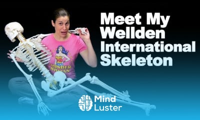 Spine anatomy fundamentals