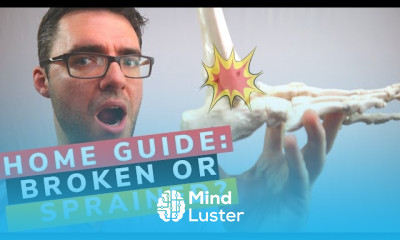 Charcot Marie tooth disease treatment