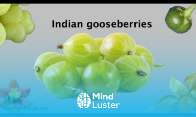 Amla Benefits for Cancer Cell Growth