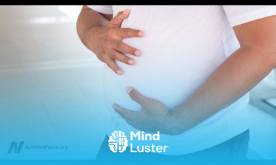 Antibiotic resistance genes