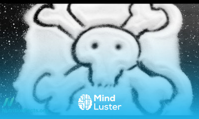 Salt Impact on Health