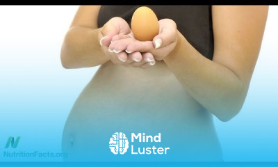 Animal Protein effect on Pregnancy