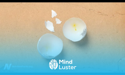 eggs and Gut Bacteria Impact in Cancer