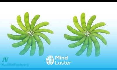 Soy Phytoestrogens Impact in Menopausal