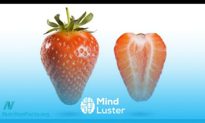 GMO Soy Impact on Breast Cancer Incidence