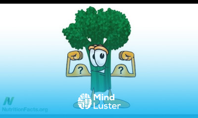 Animal Protein effect on Stress Hormones