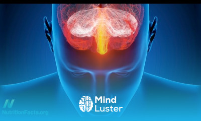 Plant Based Diets importance