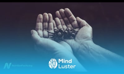 Alzheimer s Treating with turmeric