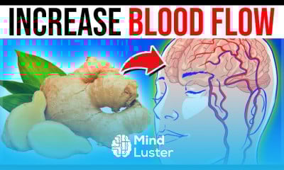 Foods To Increase Blood Flow and circulation