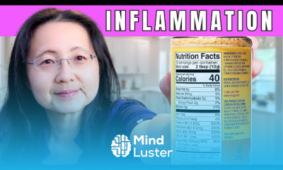 Gut microbiome fundamentals