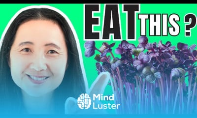 Elderberries benefits on health