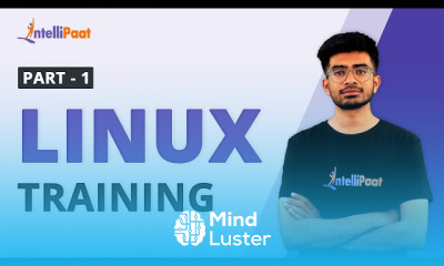 Linux File Permissions management