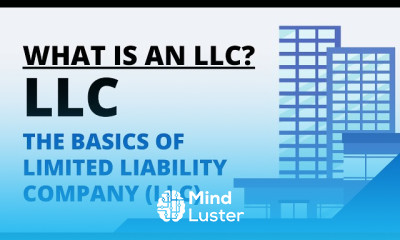 Limited Liability company benefits 2024