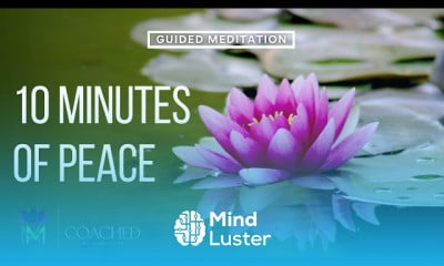 Meditations 15 Minutes