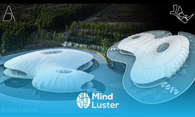 Rhino subD modeling for beginners