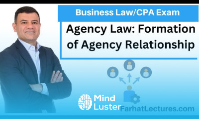 Agency Law Principles