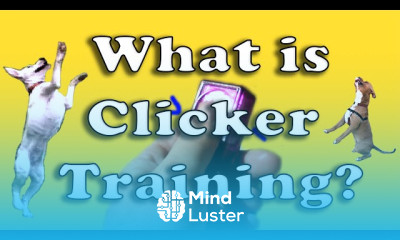 Clicker Training