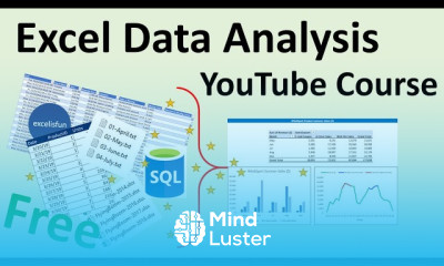 Excel data analysis basics