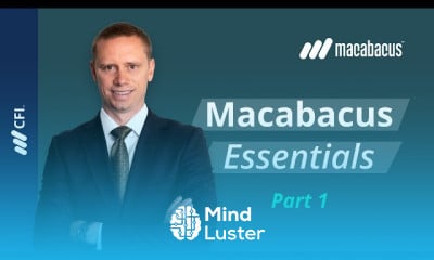 Financial modeling with macabacus essentials