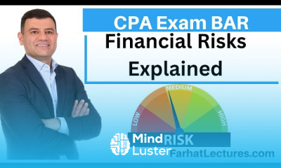 Financial risk management essentials