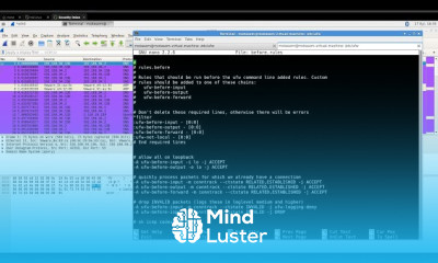Security Onion Training