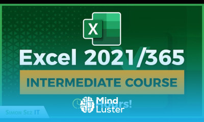 Insert search bar in excel for beginners