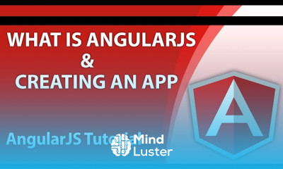 Using custom directives in angular
