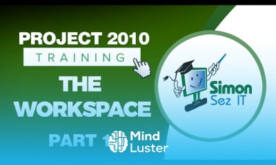 Cost tracking in microsoft project