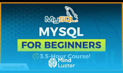 Data types used in MySQL database